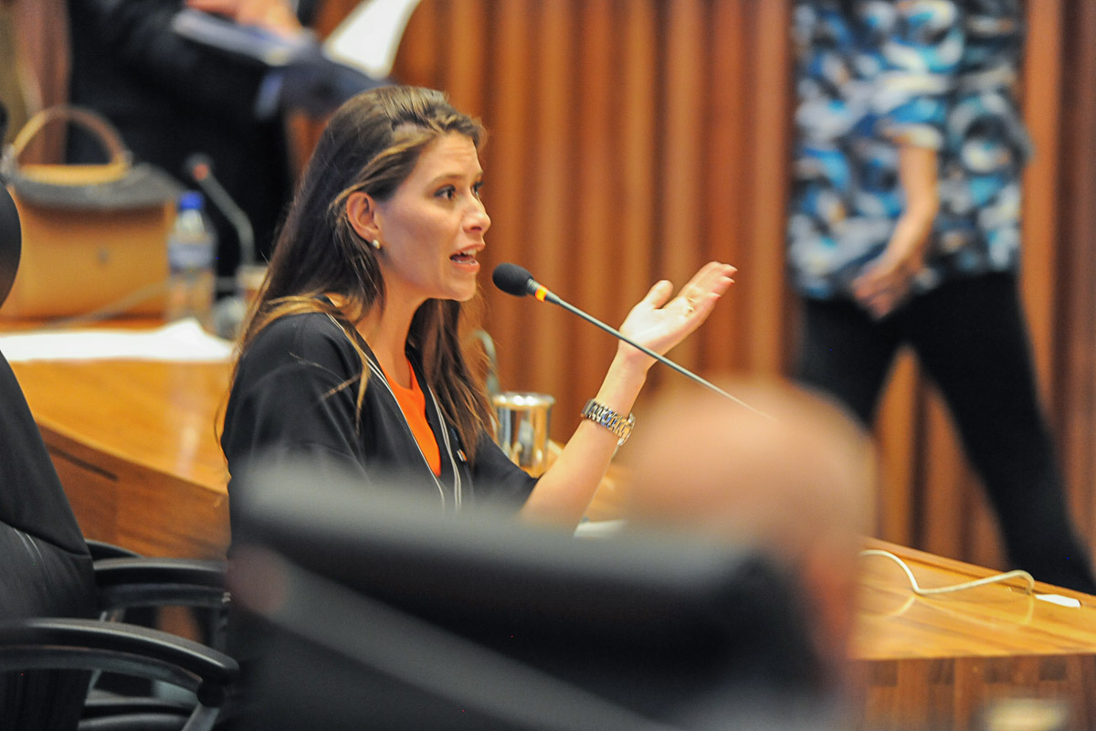Audiência debate ampliação do número de crianças atendidas por creches no DF