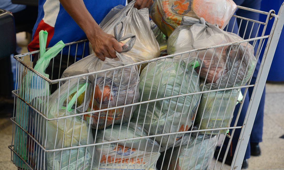 PL de Leandro Grass Fica proíbe a distribuição gratuita ou venda de sacolas plásticas descartáveis, confeccionadas à base de polietileno, propileno, polipropileno para o acondicionamento e transporte de mercadorias adquiridas no comércio do DF