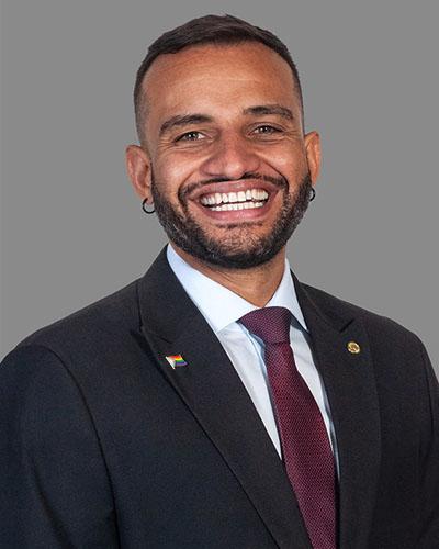 Deputado Fábio Felix