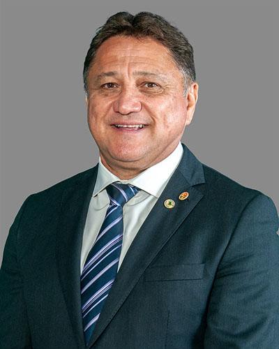 Deputado João Cardoso Professor Auditor