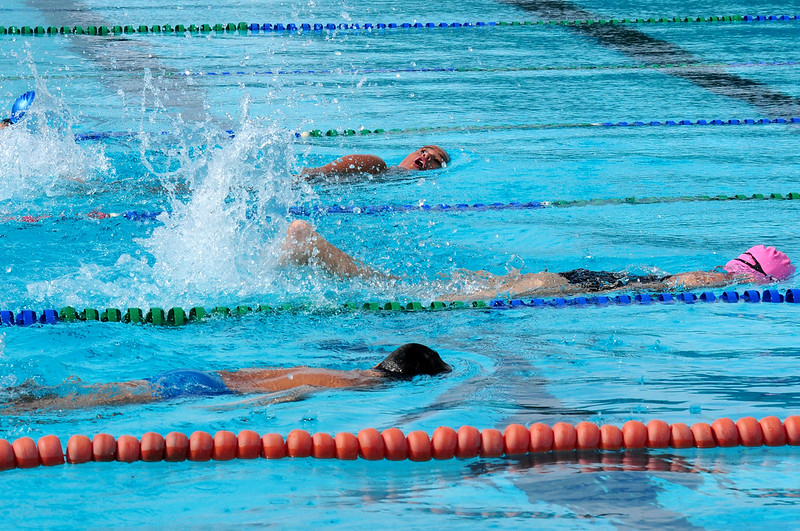 Emenda vai conferir tratamento normativo, tal qual outros fundos que já estão indicados pela Lei Orgânica, como o Fundo de Apoio à Cultura