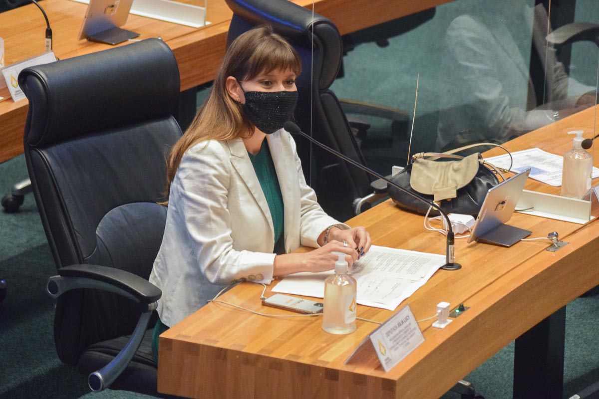 Júlia Lucy, autora da matéria, conseguiu fechar acordo pela derrubada do veto governamental, com o argumento de que a nova data se justifica em função das situações sanitária e econômica decorrente da pandemia