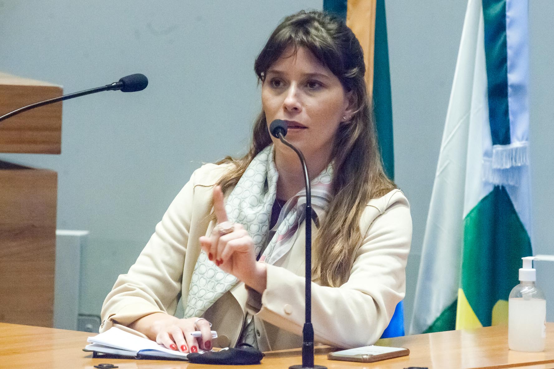 Ao todo mais de mil mulheres recorreram à Procuradoria da Mulher em busca de romper o ciclo da gravidez não planejada a partir da inserção do DIU