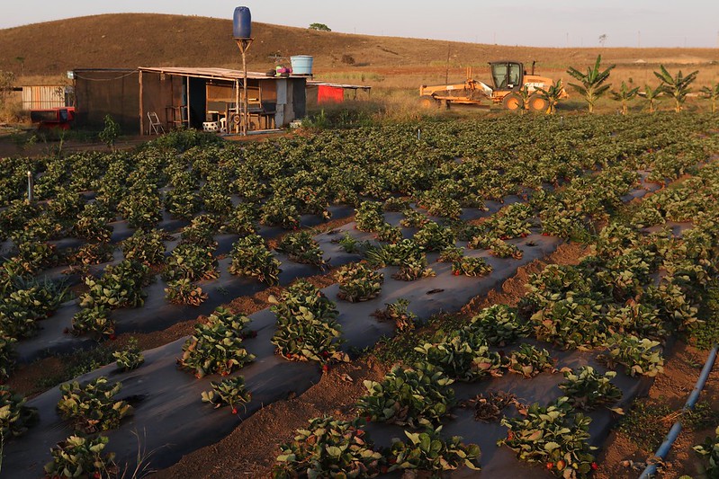 Alteração vai agilizar o processo de regularização dos assentamentos e fortalecer a produção da agricultura familiar