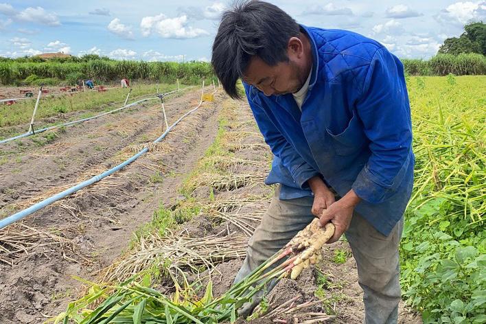 Autor da homenagem, o deputado Iolando destaca a importância dos emigrantes japonesas na consolidação da vocação agrícola do Distrito Federal