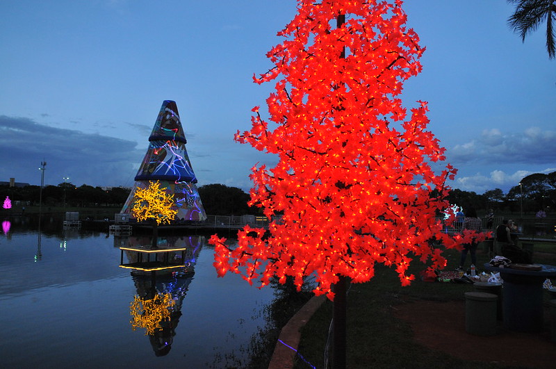 Em 2019 o Parque da Cidade recebeu uma árvore de Natal de 20 metros de altura 