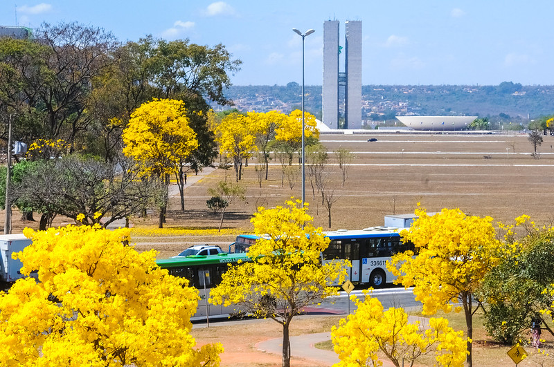 Audiência pública debateu a preservação dos Patrimônios Material, Imaterial, Humano e Cultural do Distrito Federal