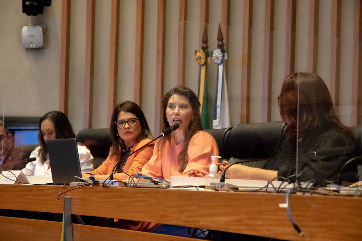 A cerimônia foi presidida pela deputada Júlia Lucy, autora da iniciativa