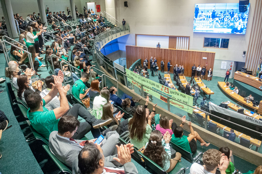 As alterações ao texto do Buriti, negociadas entre oposição e base do governo, foram aprovadas por unanimidade. Nas galerias, advogados e defensores públicos acompanharam a votação