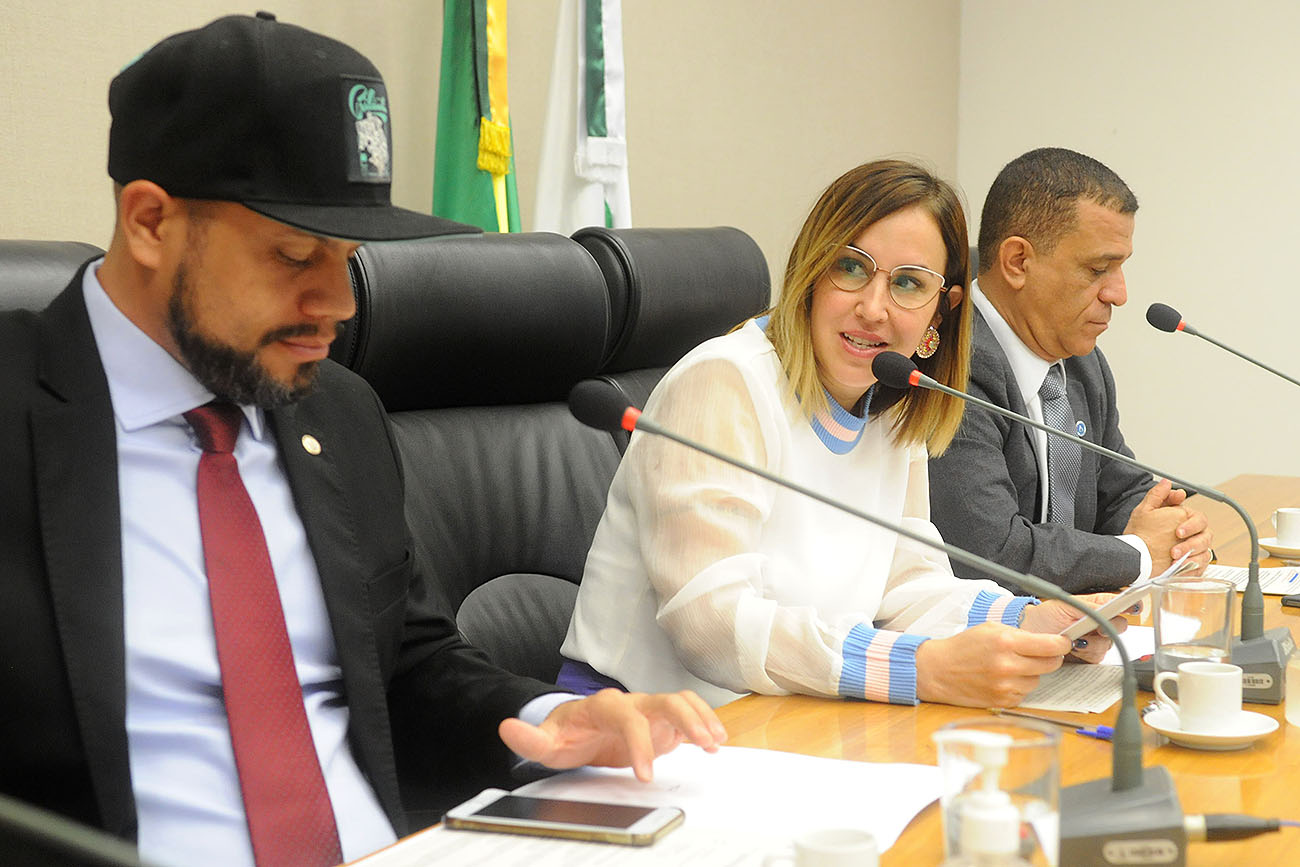 Participaram da reunião os deputados Dayse Amarílio, Pastor Daniel de Castro, Martins Machado e Max Maciel