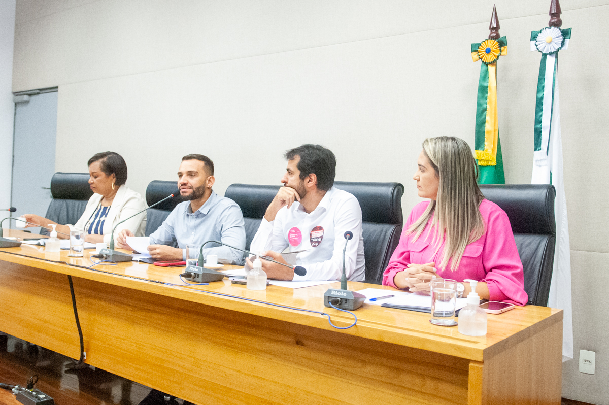 A proposta, do deputado Chico Vigilante (PT), e substitui o antigo código, que é de 1996