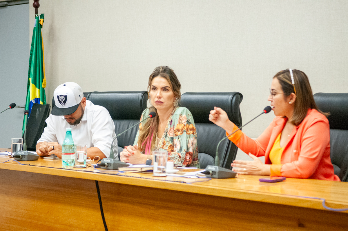 Participaram da reunião os distritais Paula Belmonte, Max Maciel e Dayse Amarilio