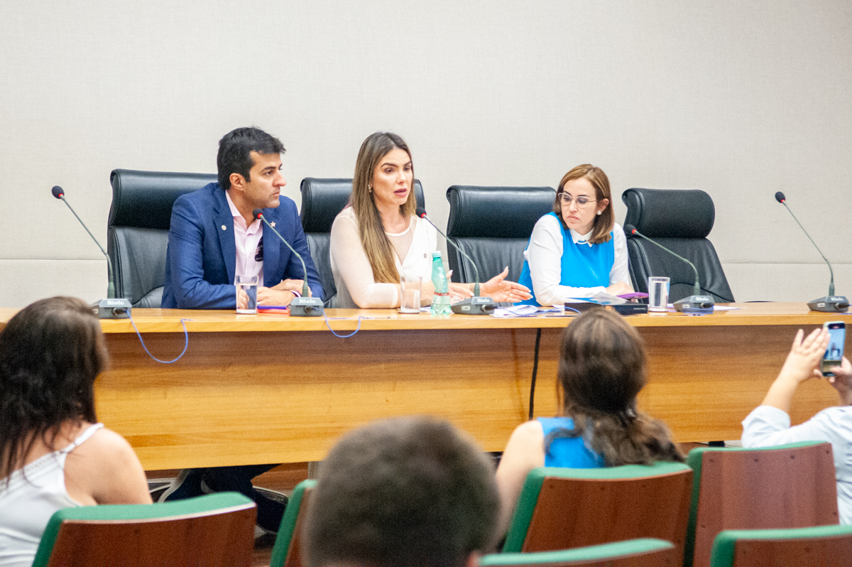 Participaram da reunião os deputados Gabriel Magno, Paula Belmonte e Dayse Amarilio