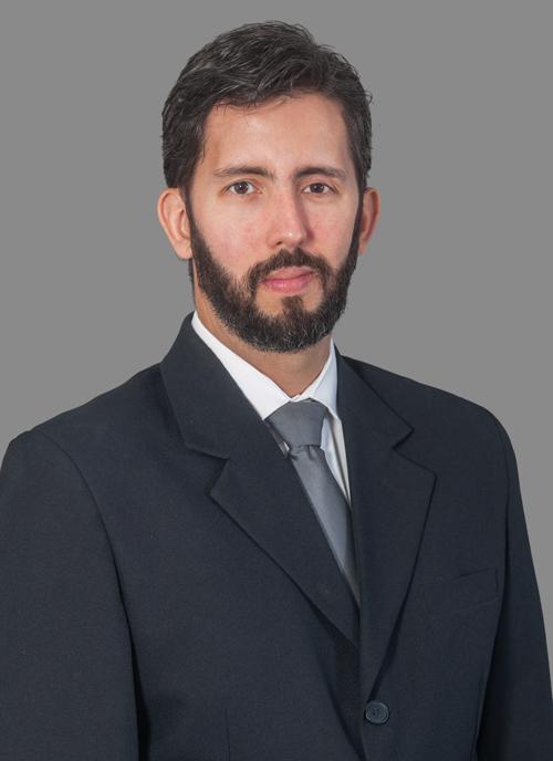 Deputado Leandro Grass