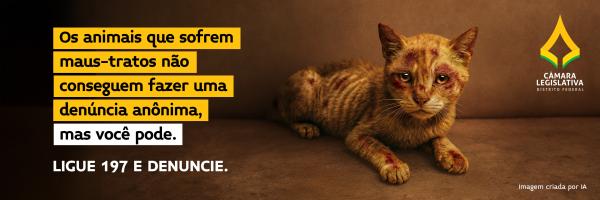 Banner - Pets 2025