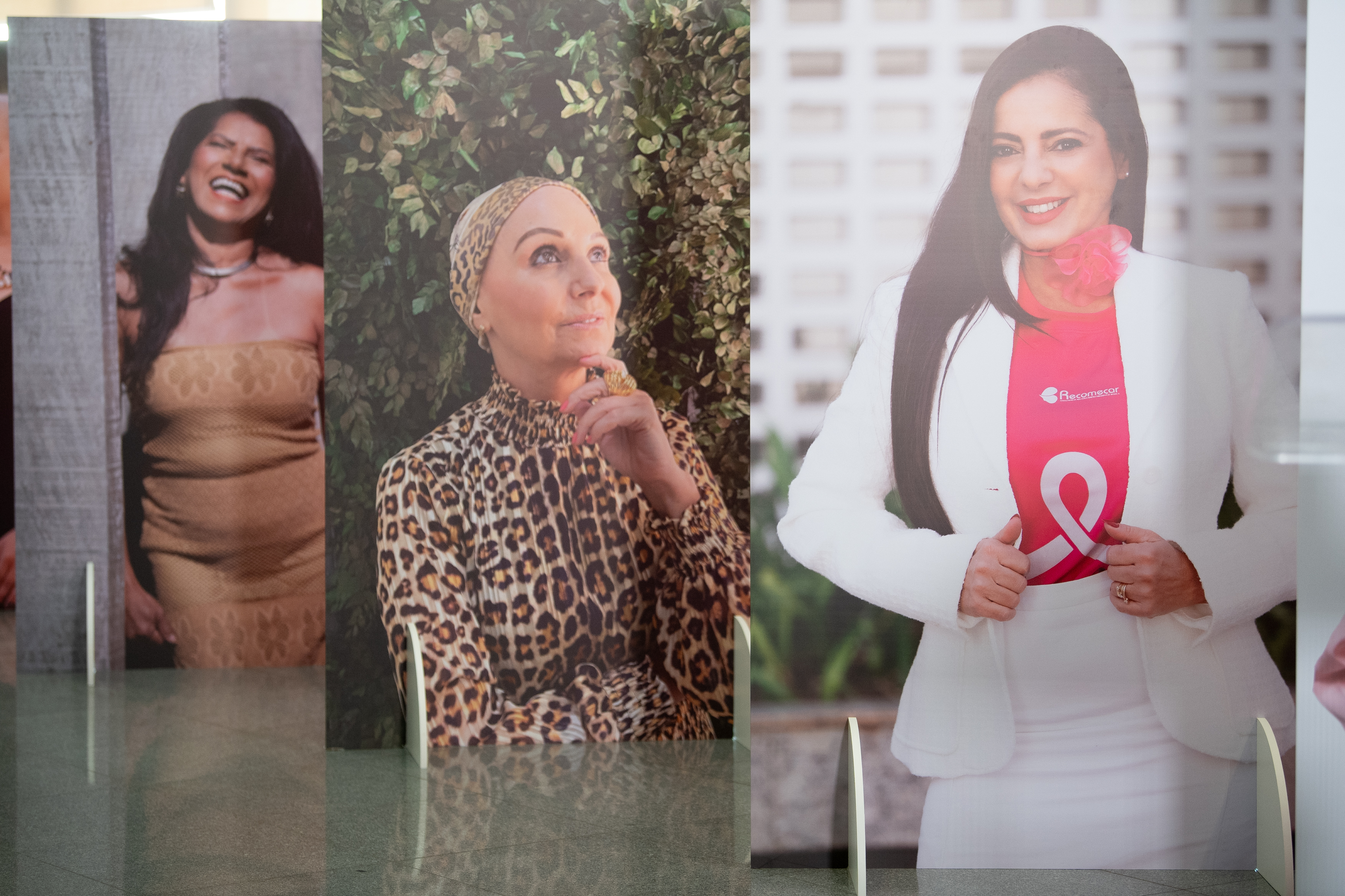 Foto: Reprodução/Agência CLDF