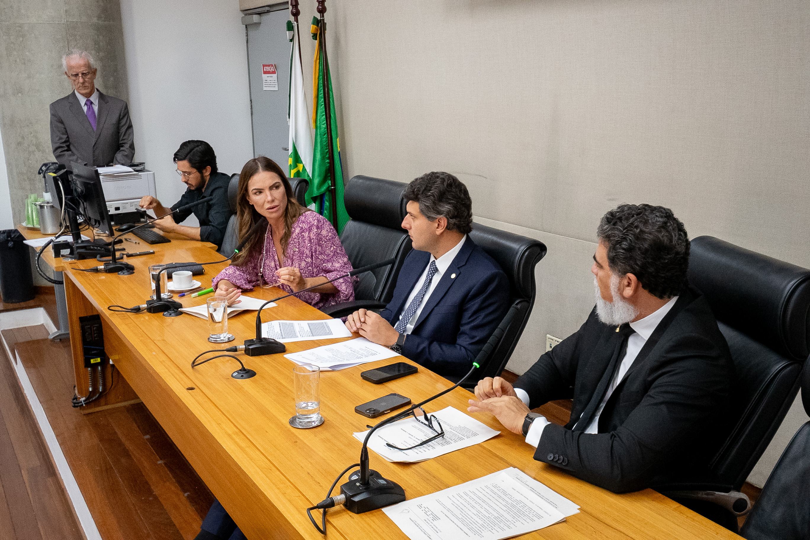 Revisão do Plano Plurianual 2024-2027 é aprovada na CEOF