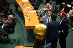 Miniatura