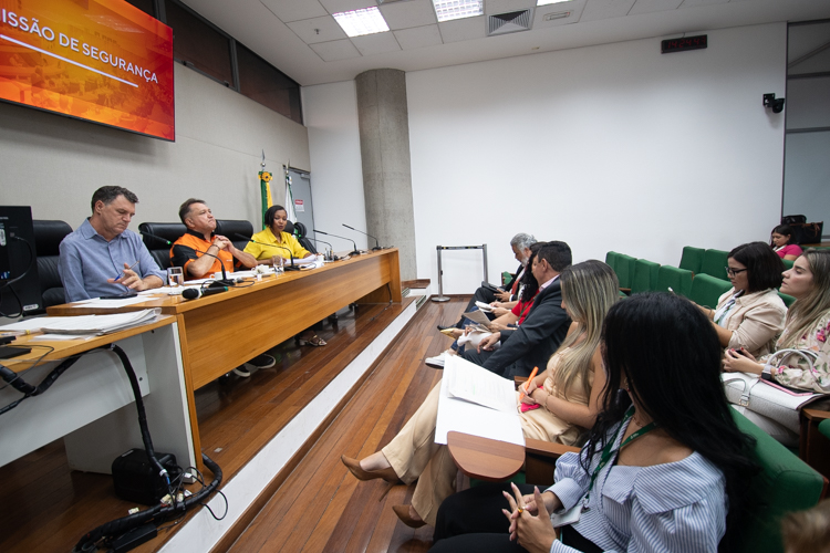 Comissão de Segurança aprova seis medidas para reforçar a prevenção de crimes no DF