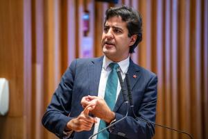Miniatura