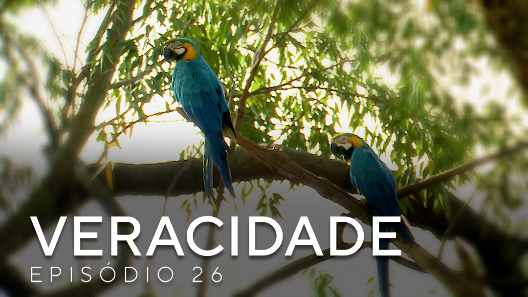 Veracidade destaca o lado turístico de Brasília