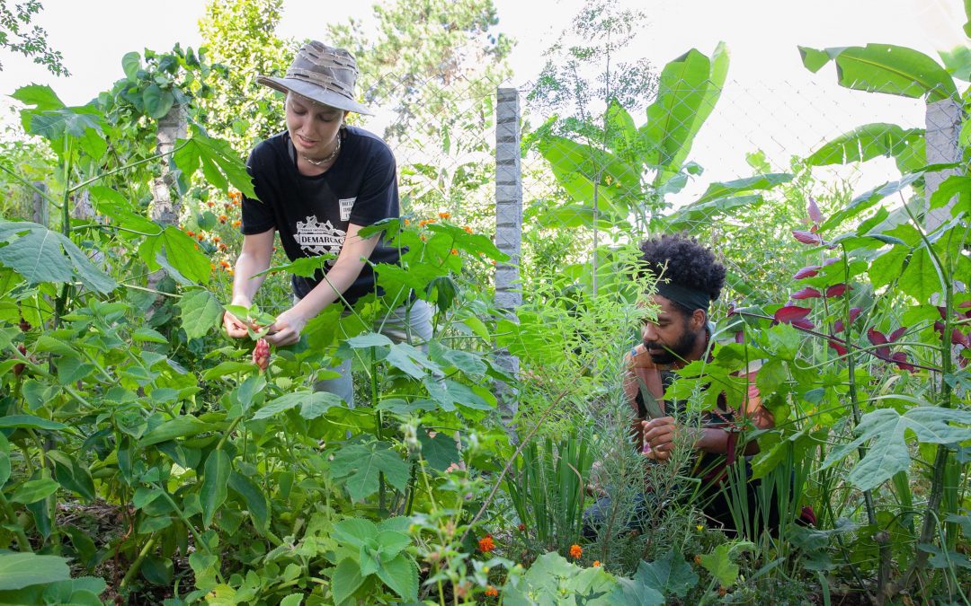 Jardins terapêuticos serão instalados em unidades de saúde e locais de longa permanência
