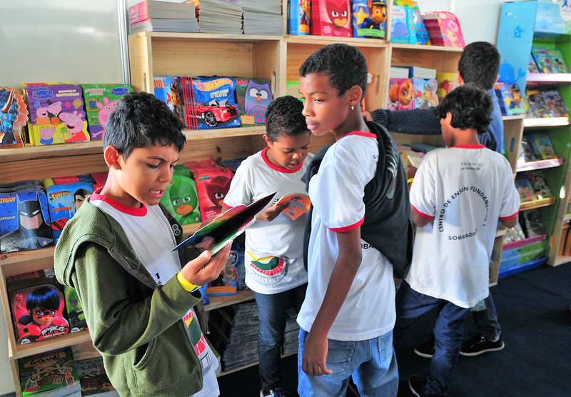 Regionais de Ensino, por meio de seus núcleos pedagógicos, deverão convocar os professores para formularem o Projeto, definindo ações pedagógicas e o levantamento bibliográfico