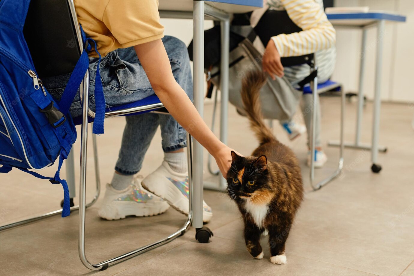 Para o autor do PL, Reginaldo Sardinha, os animais ajudam no combate à ansiedade e ao estresse dos alunos