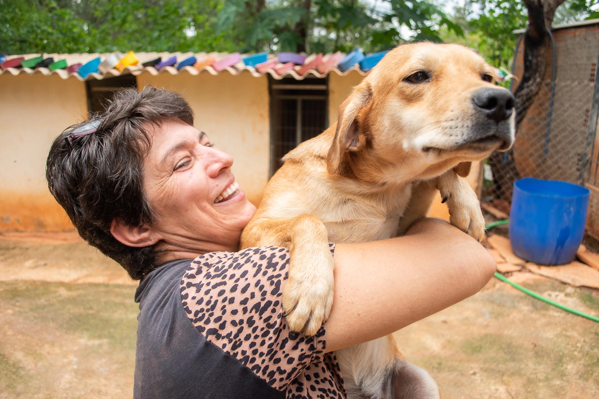 Marci Boese, protetora independente da causa animal
